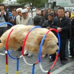 Dan Kennedy’s Most Valuable Piece of Advice