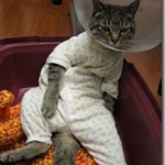 Kill Relationship Drama Before It Begins