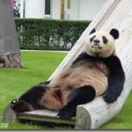 Freedom From The Need To Be Right