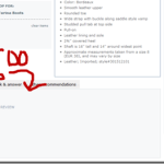 Why Will These 5 Questions Get You Outstanding Reviews?