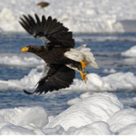 What Are The Top 7 Things I Learned From Eben Pagan&rsquo;s Get Altitude Seminar