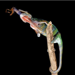 Top 3 Lessons From The Tony Robbins Business Mastery Seminar