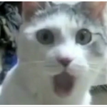 Why Copywriting Courses Kill The Profits Of Small Business Owners