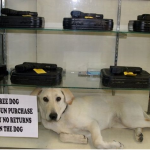 The Financial Bitch Slap You Just Might Need