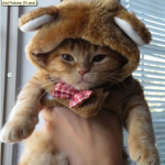 Internet Marketing Experts Speak On List Building 2.0