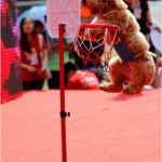 Marketing Notes On How To Sell From The Stage