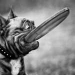 Part 1 of 3&ndash; Small Business Marketing Strategies For Building A Business Around a Blog