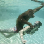 Part 3 of 3: Small Business Marketing Strategies For Building A Business Around a Blog