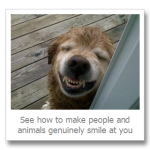 Personal Improvement Notes On The Four Questions Strangers Ask Themselves To Determine Whether They Like You Or Not