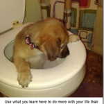 Part 2 of 2: Learn This and You&rsquo;ll Be Ahead of 99% of the People You&rsquo;ll Ever Meet