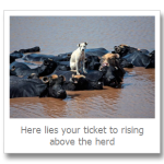 Learning How To Differentiate Yourself In A Crowded Market