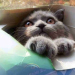 MyNoteTakingNerd – Top 3 Things Learned From The Eben Pagan Guru Marketing Plan Seminar