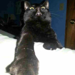 MyNoteTakingNerd – The Top 3 Things I Learned From The Dan Kennedy Copywriting Mastery Boot Camp