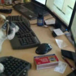 When Is The Right Time To Hire A Virtual Assistant?