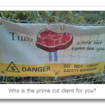 Who Is The Perfect Client For You?