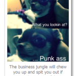 Deep Survival In The Business Jungle