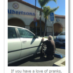 You Have More In Common With Walt Disney Than You Think You Do