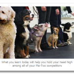 Why Your Autobiography Needs To Make Guest Appearances In Your Content Marketing