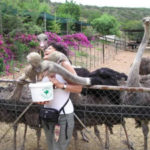 Single Best System For Selecting The Right Copywriter